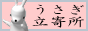 usalink-pink.png